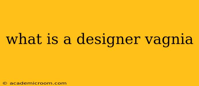 what is a designer vagnia
