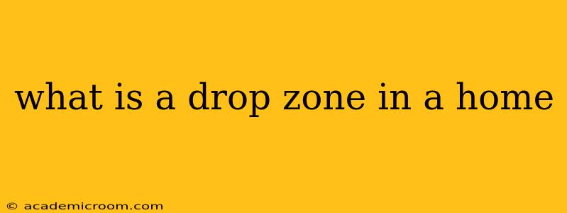what is a drop zone in a home