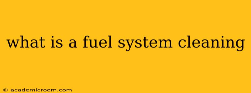 what is a fuel system cleaning
