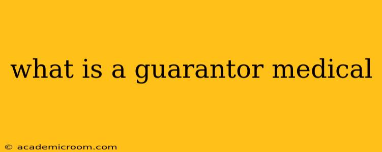 what is a guarantor medical