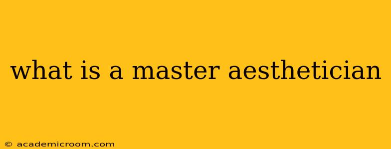 what is a master aesthetician