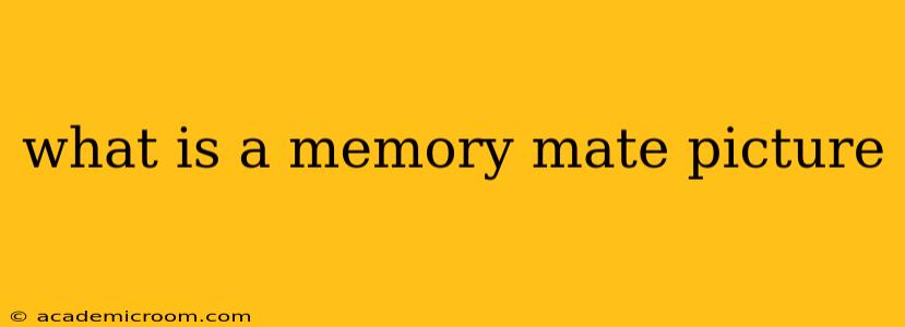 what is a memory mate picture
