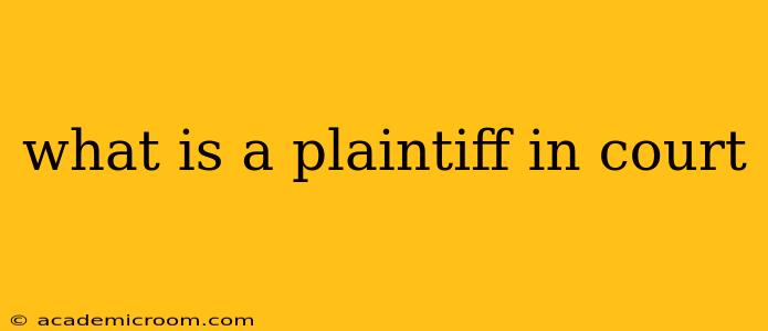 what is a plaintiff in court