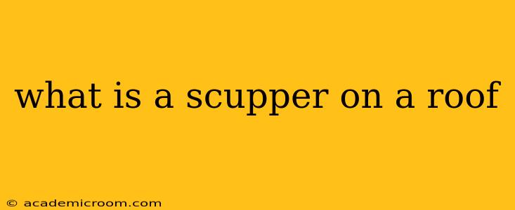what is a scupper on a roof