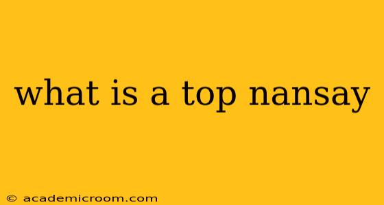 what is a top nansay