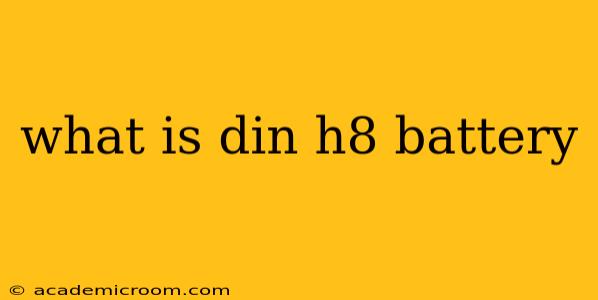 what is din h8 battery