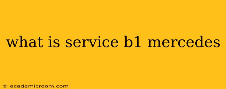 what is service b1 mercedes