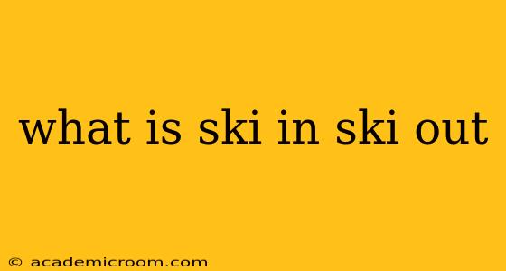 what is ski in ski out