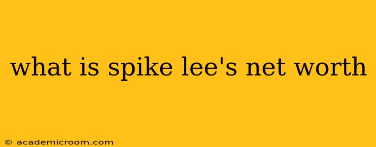 what is spike lee's net worth