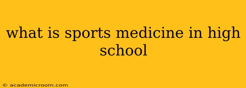 what is sports medicine in high school