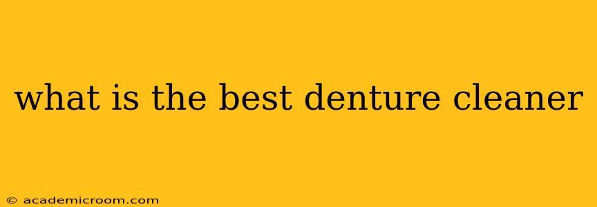 what is the best denture cleaner