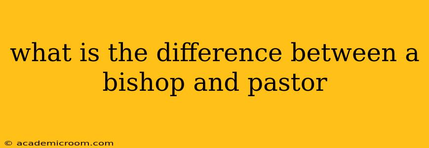 what is the difference between a bishop and pastor