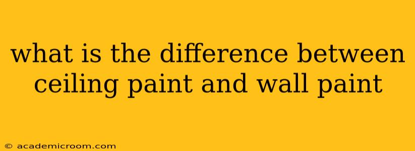 what is the difference between ceiling paint and wall paint