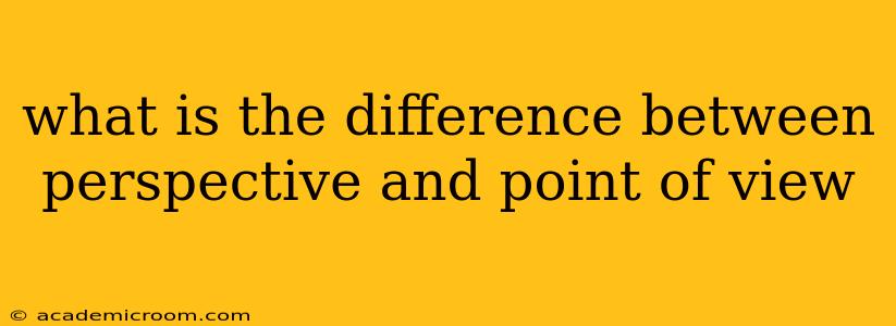 what is the difference between perspective and point of view