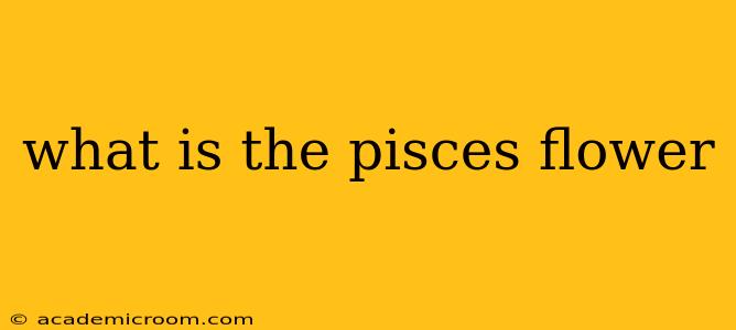 what is the pisces flower