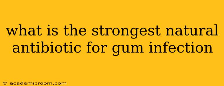 what is the strongest natural antibiotic for gum infection