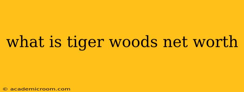 what is tiger woods net worth
