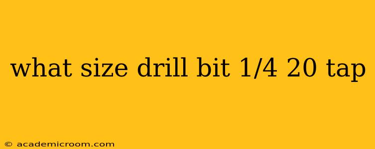 what size drill bit 1/4 20 tap