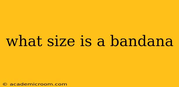 what size is a bandana
