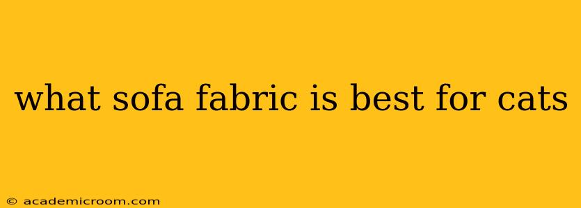 what sofa fabric is best for cats