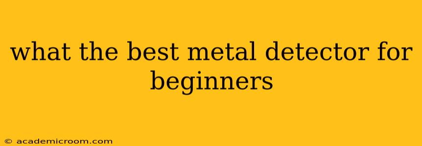 what the best metal detector for beginners
