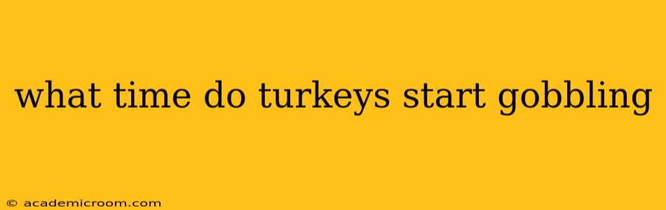 what time do turkeys start gobbling