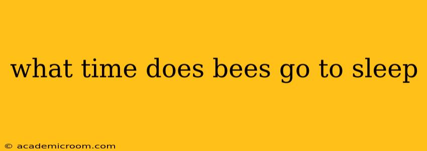 what time does bees go to sleep