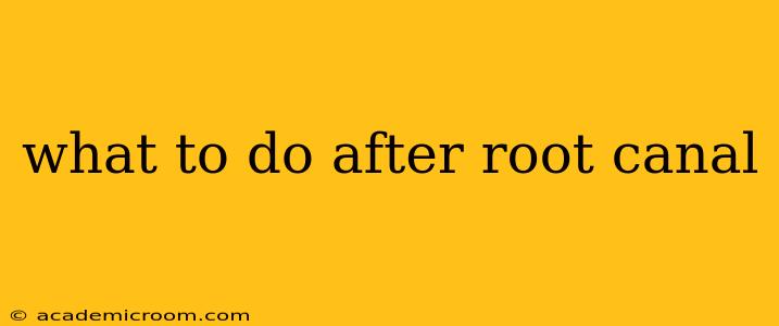 what to do after root canal