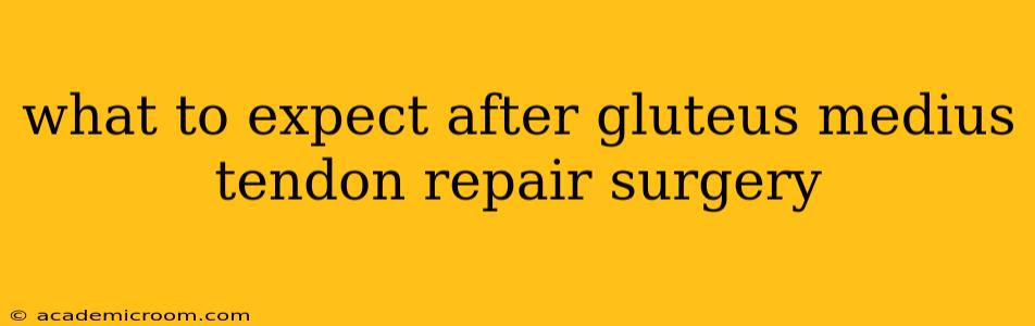 what to expect after gluteus medius tendon repair surgery