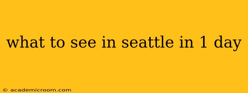 what to see in seattle in 1 day