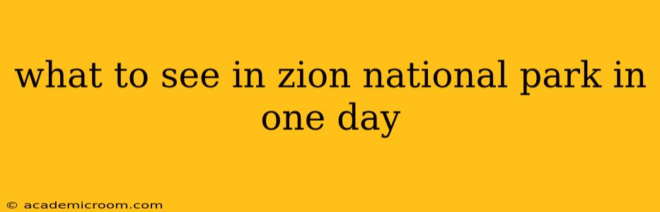 what to see in zion national park in one day