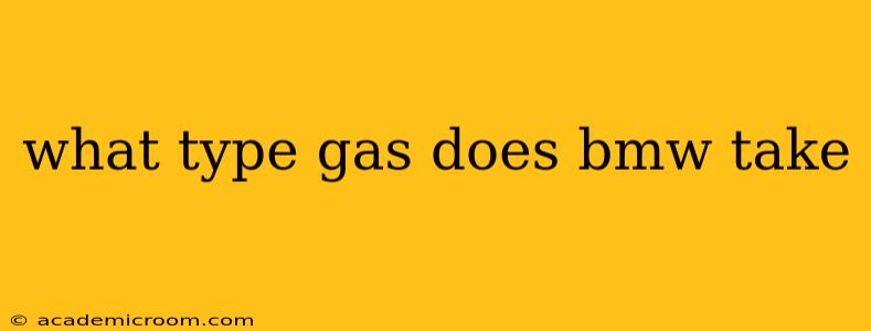 what type gas does bmw take
