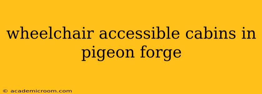 wheelchair accessible cabins in pigeon forge