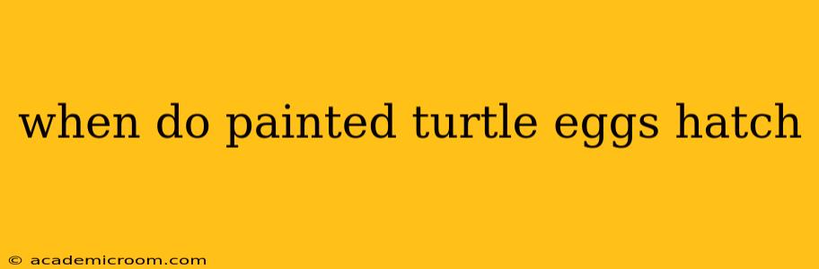 when do painted turtle eggs hatch