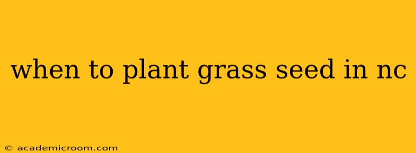 when to plant grass seed in nc