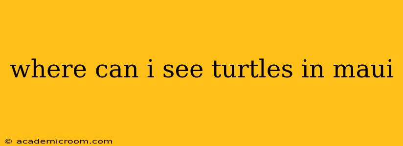where can i see turtles in maui