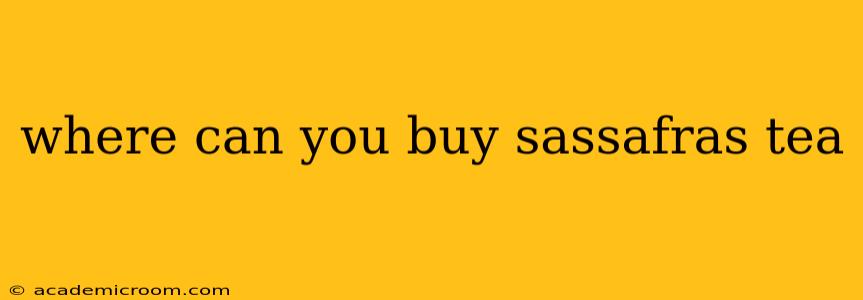 where can you buy sassafras tea