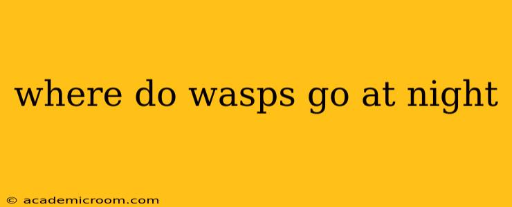 where do wasps go at night