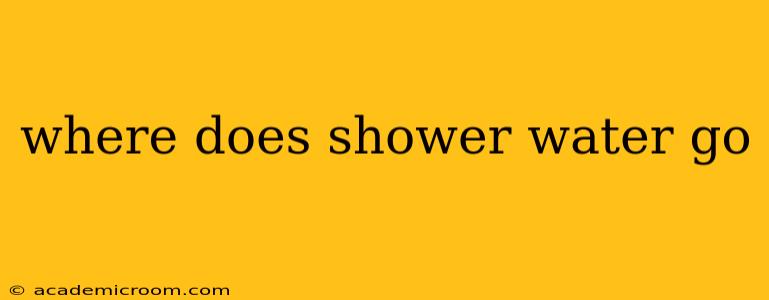 where does shower water go