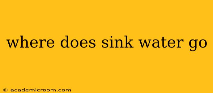 where does sink water go