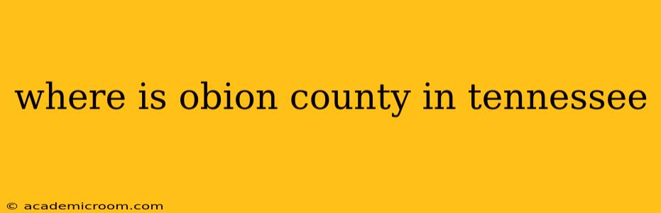 where is obion county in tennessee