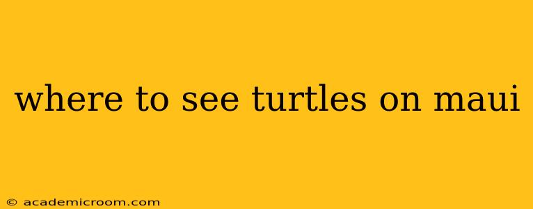 where to see turtles on maui