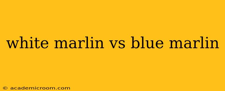 white marlin vs blue marlin