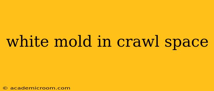 white mold in crawl space