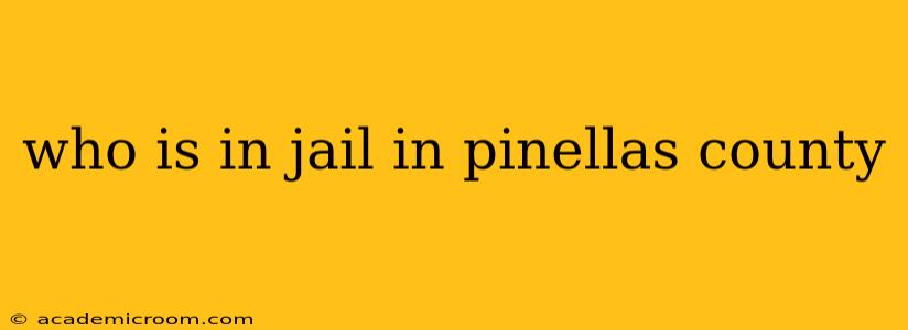 who is in jail in pinellas county
