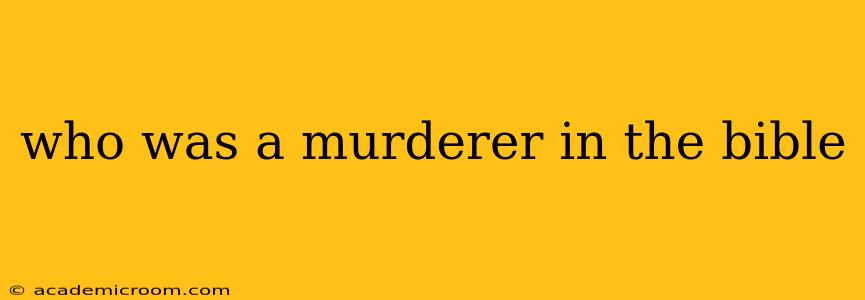 who was a murderer in the bible
