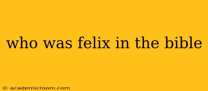 who was felix in the bible