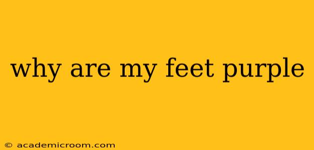 why are my feet purple