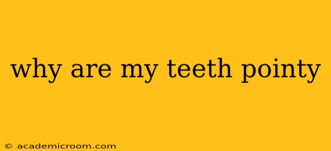why are my teeth pointy