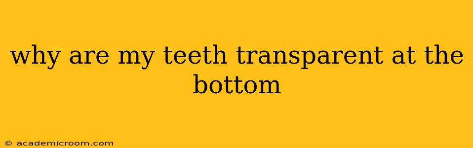 why are my teeth transparent at the bottom